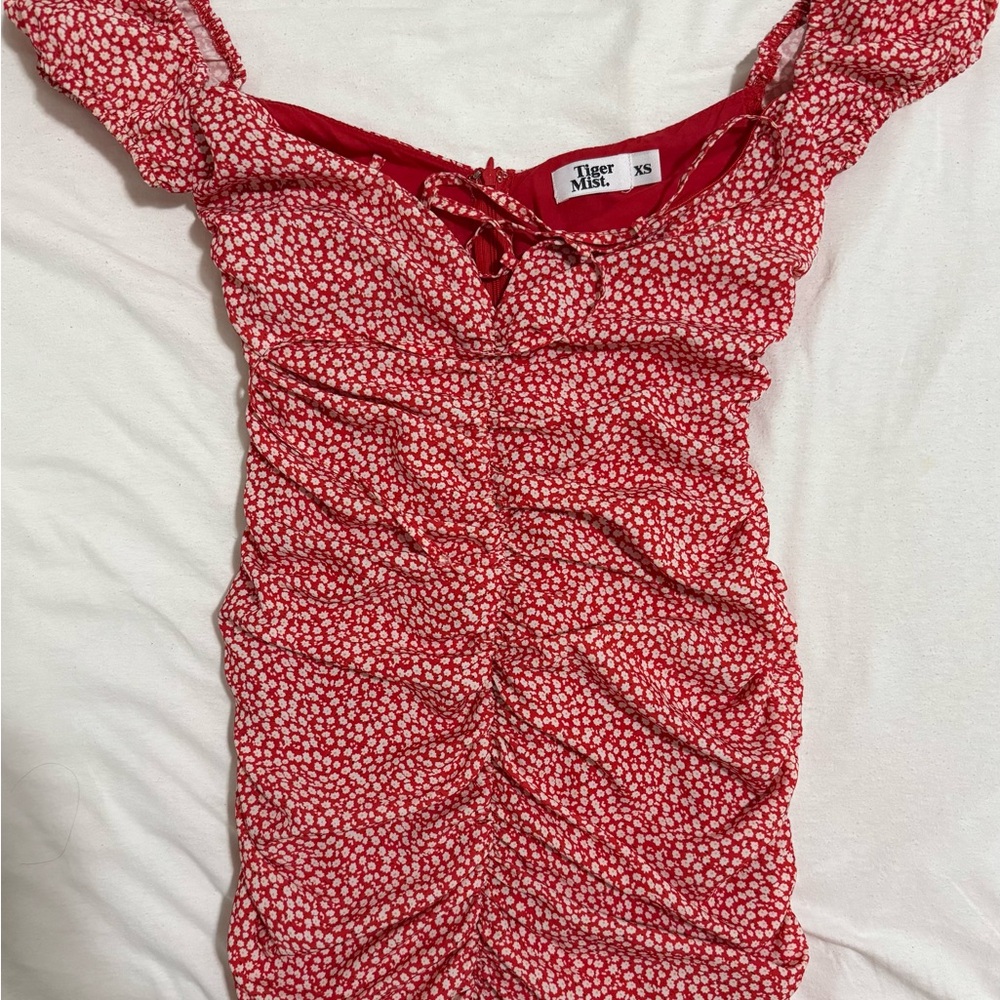 Tiger Mist Red Floral Mini Dress